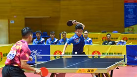 Lê Đình Đức thi đấu nổi bật tại giải vô địch quốc gia, trong đó có trận thắng đương kim vô địch Nguyễn Anh Tú 3-0