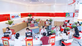 HDBank là doanh nghiệp tiêu biểu về năng lượng, môi trường xanh