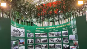 "Lạng Sơn – 80 năm hành trình vươn lên" tại Triển lãm thành tựu đất nước