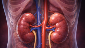 Chức năng lọc thận kém - Bạn chớ chủ quan!