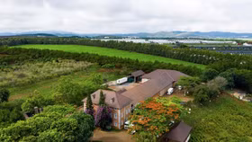 Dalatmilk ra mắt “Sữa tươi thanh trùng hương chuối” kết hợp hoàn toàn từ sữa tươi cao nguyên và hương chuối tự nhiên