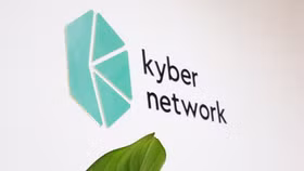 Vụ hack Kyber Elastic trộm 47 triệu USD: Xác định được đối tượng tấn công, nỗ lực của cộng đồng tài sản mã hoá được đền đáp