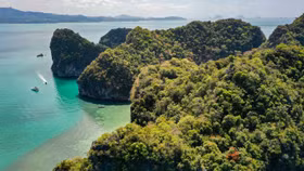 Khát vọng du lịch sinh thái, xanh hóa đảo Cát Bà