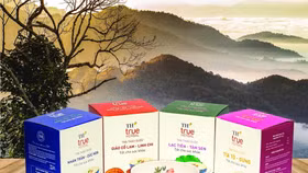 Định hình con đường dược liệu Việt: Tư duy chiến lược của Anh hùng Lao động Thái Hương