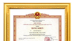 Bằng khen của Thủ tướng Chính phủ trao tặng Madame Nguyễn Thị Nga, Chủ tịch Tập đoàn BRG