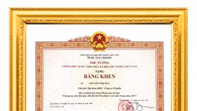 Bằng khen của Thủ tướng Chính phủ trao tặng Madame Nguyễn Thị Nga, Chủ tịch Tập đoàn BRG