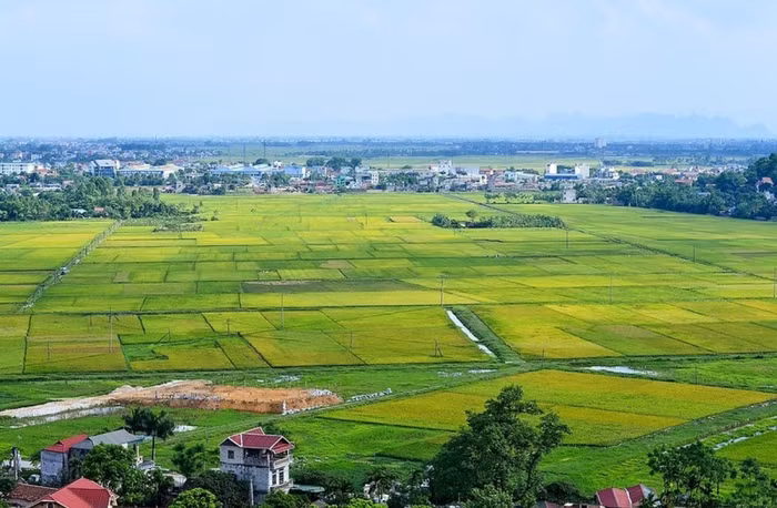 3 điểm mới trong Nghị định 291 sẽ tác động lớn đến các doanh nghiệp bất động sản