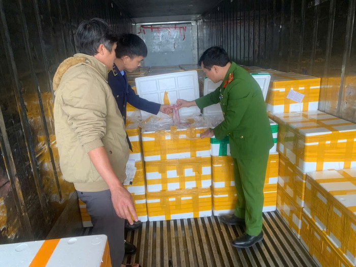 Thu giữ hàng chục tấn cá chứa chất cấm cực độc đang trên đường đi tiêu thụ