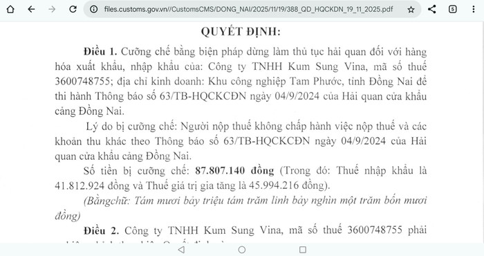 Không chấp hành pháp luật về thuế, một doanh nghiệp FDI bị dừng làm thủ tục hải quan