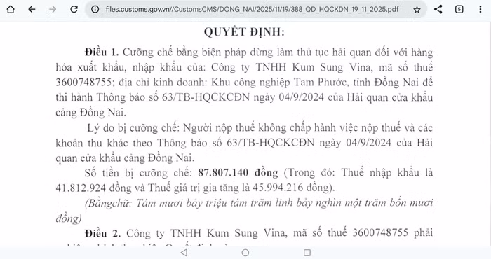 Không chấp hành pháp luật về thuế, một doanh nghiệp FDI bị dừng làm thủ tục hải quan