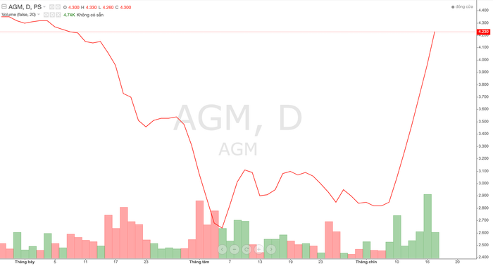 Cổ phiếu AGM liên tục tăng trần 6 phiên, bất chấp bị đưa vào diện kiểm soát và kinh doanh thua lỗ