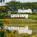 Vinamilk đóng góp gần 45% tổng cổ tức SCIC thu được trong năm 2025