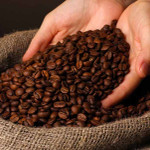 Giá nông sản hôm nay (19/6): Giá cà phê Robusta giảm kỷ lục do nguồn cung tăng mạnh