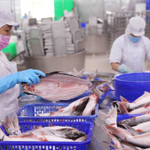 Mỹ siết kiểm soát thủy sản nhập khẩu: Tăng áp lực lên doanh nghiệp Việt