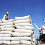 Xuất khẩu nông sản bứt phá đầu năm mới: Từ kỷ lục 70 tỷ USD đến khát vọng nâng tầm giá trị