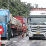 Bộ Công Thương vào cuộc tháo gỡ vướng mắc về kiểm tra an toàn thực phẩm tại cửa khẩu