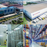 Thị trường kho lạnh Việt Nam: Tự tin thu hút đầu tư quốc tế, “mắt xích” trong chuỗi logistics công nghệ cao