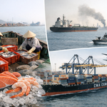 Eo biển Hormuz căng thẳng: 401 triệu USD xuất khẩu thủy sản Việt Nam vào vùng thử thách
