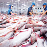 Thủy sản Việt Nam sang Nhật Bản đạt gần 1,5 tỷ USD giữa bối cảnh thị trường "co mình"