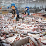 Thương mại Việt Nam – CPTPP tăng trưởng bùng nổ, đạt 102,8 tỷ USD sau 10 tháng