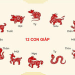 Tử vi vui 12 con giáp ngày 7/3: Vận xui đi, may mắn đến, sự nghiệp của 4 con giáp sẽ lên tầm cao mới