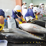 Mỹ xem xét thuế suất 0% với Việt Nam, thêm một ứng viên sáng giá được hưởng ưu đãi