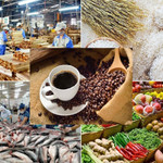 Xuất khẩu đầu năm 2026 khởi sắc: Cà phê vươn lên đầy triển vọng