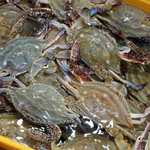 Ghẹ Việt Nam “thoát hiểm” lệnh cấm nhập khẩu vào thị trường Mỹ