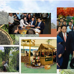 Đặt cược vào phẩm chất trà cổ thụ, ANNSHAN khẳng định sự khác biệt bằng kỹ thuật tinh hoa và nghệ nhân Việt