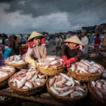 Tăng trưởng trên lằn ranh, ngành thủy sản Việt Nam lộ rõ đường phân hóa
