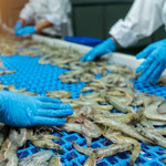 Thuế chống bán phá giá hạ nhiệt, tôm Việt Nam gia tăng lợi thế tại thị trường Mỹ