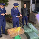 Phát hiện vụ vận chuyển nhiều sản phẩm có dấu hiệu giả mạo nhãn hiệu Adidas, Crocs