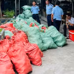 Kiểm tra Công ty Nam Nga, Quản lý thị trường Hải Phòng phát hiện lượng lớn dép trẻ em có dấu hiệu giả mạo nhãn hiệu