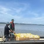 Biên phòng Quảng Ninh tạm giữ một phương tiện vận tải thủy vận chuyển xăng E10 RON 95 không rõ nguồn gốc