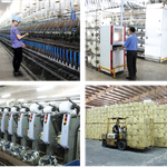 Dệt Đông Tiến Hưng "chây ì" nghĩa vụ thuế, Giám đốc công ty bị tạm hoãn xuất cảnh
