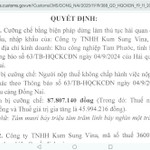 Không chấp hành pháp luật về thuế, một doanh nghiệp FDI bị dừng làm thủ tục hải quan