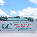 Cạnh tranh không lành mạnh, BAF Việt Nam và Nông nghiệp sạch Thanh Xuân bị xử phạt
