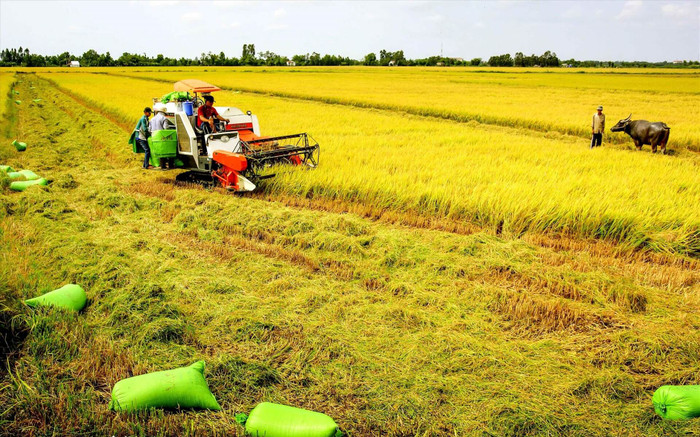 Bộ Tài chính đề xuất 2 giải pháp quy định về thời hạn miễn thuế sử dụng đất nông nghiệp