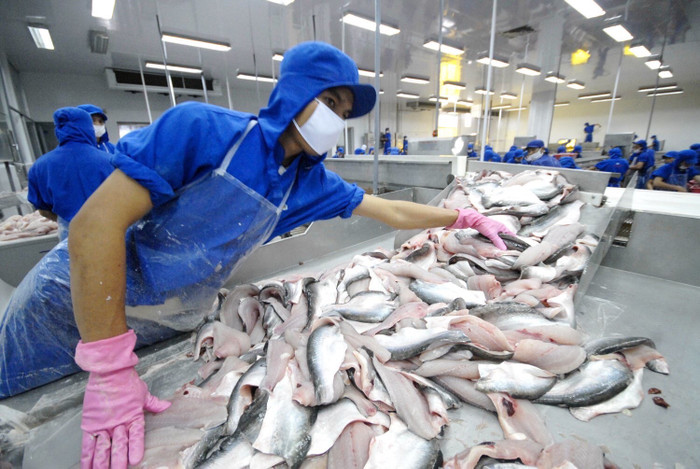 Chờ đợi thị trường thuỷ sản Việt được mở thẻ vàng "IUU"