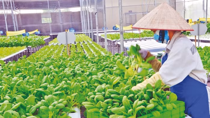 Tiến tới phát triển ngành nông nghiệp bền vững