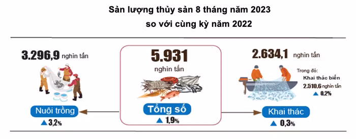Ảnh màn hình 2023-08-29 lúc 09.44.36.png