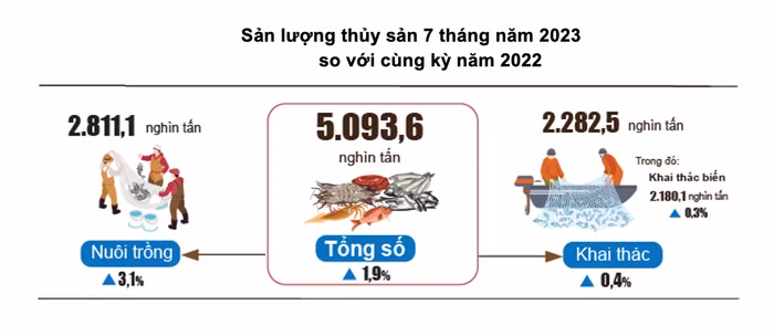 Ảnh màn hình 2023-07-29 lúc 09.44.51.png