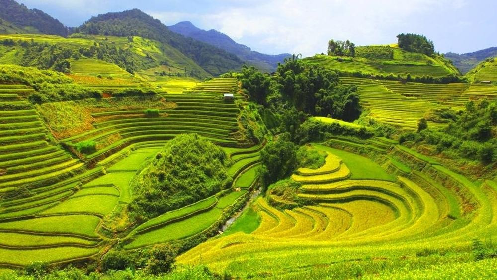 Mai Châu vào mùa lúa xanh badb8e6a-mai-chau-hoa-binh-5.jpg