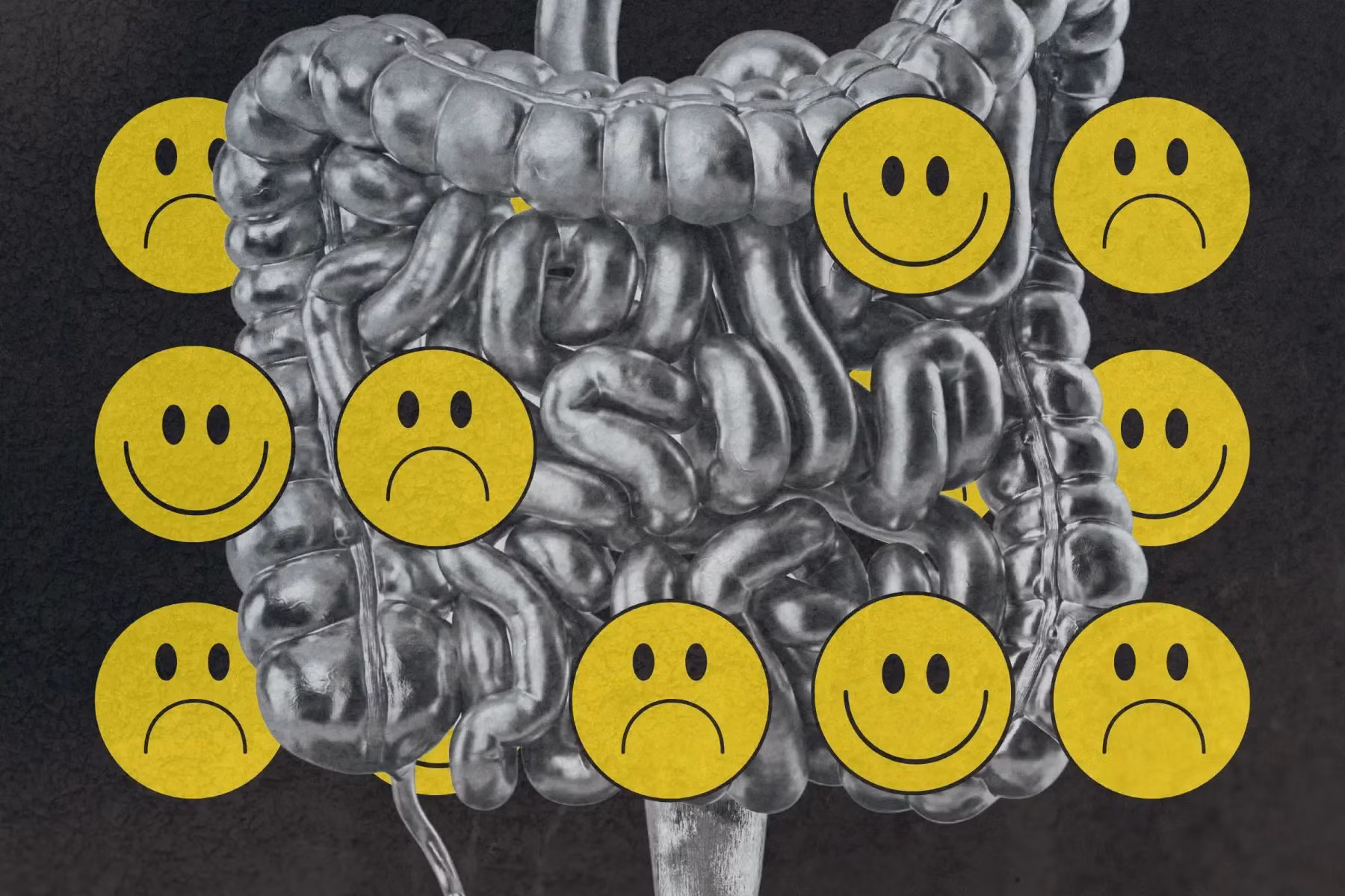 your-gut-could-be-driving-your-mood.jpg