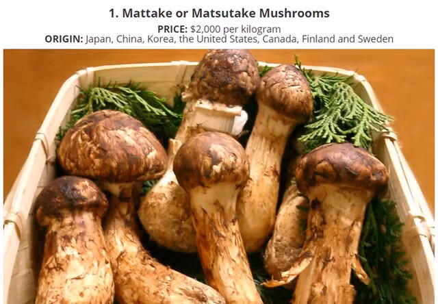 Nấm Matsutake
