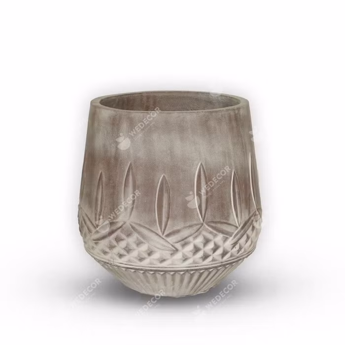 7 loại cây cảnh cực dễ chăm dành cho người mới trồng ảnh 3