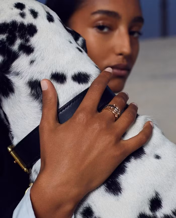 Trang sức Coco Crush: Sự mê hoặc tinh tế ảnh 6