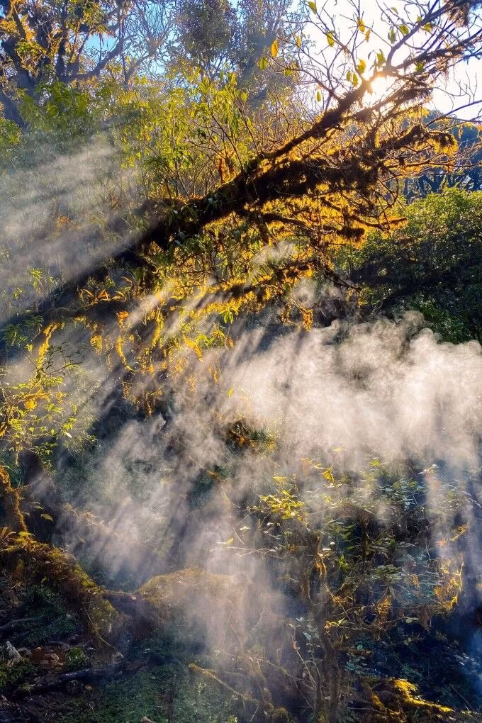 bo-sung-2849-1675770023.jpg?w=680&h=0&q=100&dpr=1&fit=crop&s=fNue7xS98IMJ4YL5kcEnrA