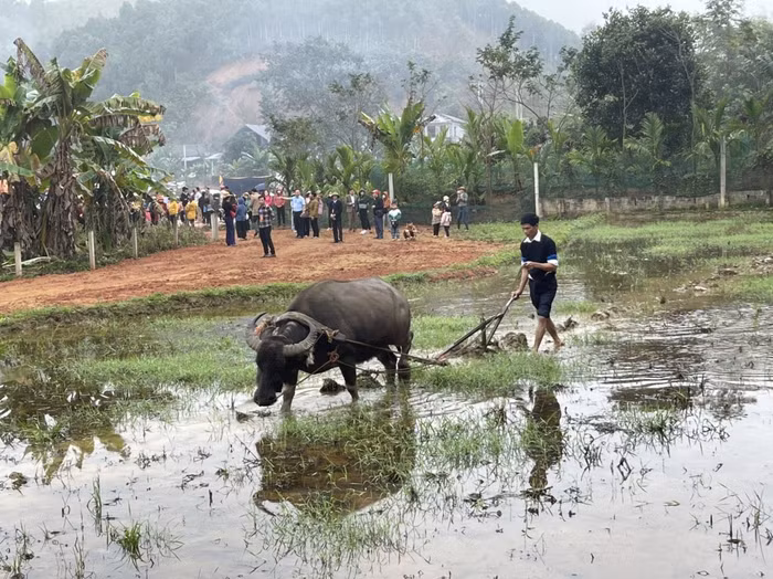 Người đứng đầu địa phương xuống đồng cầy ruộng