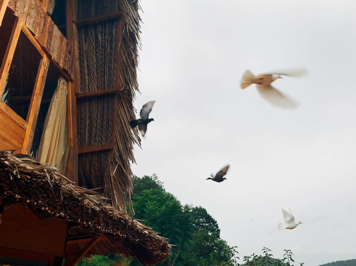 Hẹn hết dịch, mình mơ về một nơi yên bình nhé! ảnh 3